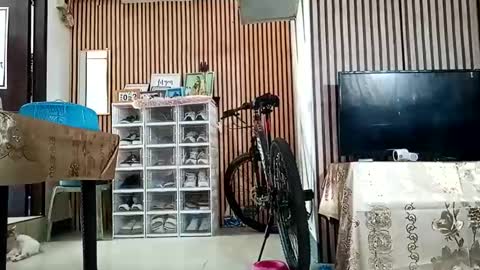 Kylie online show from 09.11.25