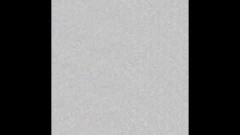 _maccaa_ online show from 11.11.25