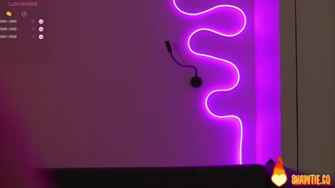 Snapshot of _taylor_swift chatting on 02.04.25 Taylor online show from 02.04.25