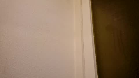 Snapshot of abdulla1912 chatting on 02.01.25 abdulla1912 online show from 02.01.25