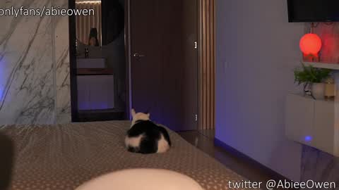 Snapshot of abie_owen chatting on 09.28.25 abie_owen online show from 09.28.25