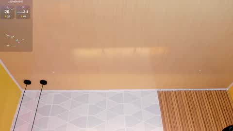 Snapshot of ada__lee_ chatting on 01.02.25 Antonella online show from 01.02.25