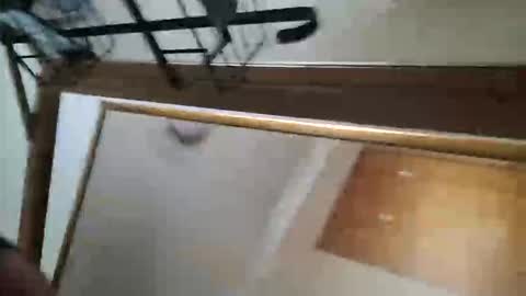 Snapshot of adamlucas54321s773712 chatting on 10.08.25 adamlucas54321s773712 online show from 10.08.25