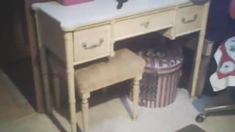 Snapshot of adamsny chatting on 02.21.25 adamsny online show from 02.21.25