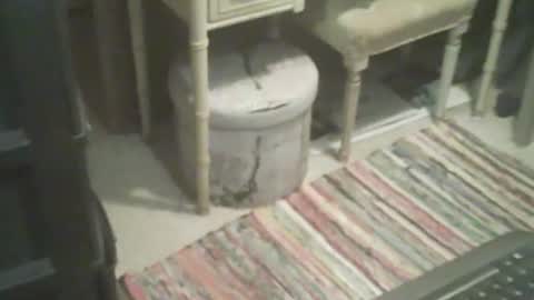 Snapshot of adamsny chatting on 11.04.25 adamsny online show from 11.04.25