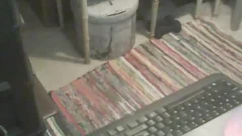 Snapshot of adamsny chatting on 11.09.25 adamsny online show from 11.09.25