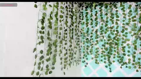 chicos hot online show from 11.18.25