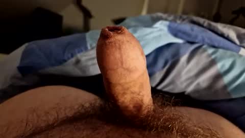 Snapshot of alfred2349 chatting on 10.04.25 alfred2349 online show from 10.04.25