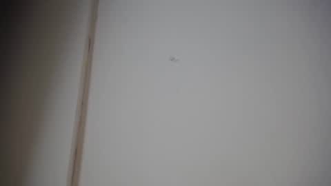 Ali online show from 01.10.25