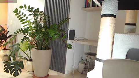 Snapshot of ambarhill chatting on 01.22.25 Ambar online show from 01.22.25