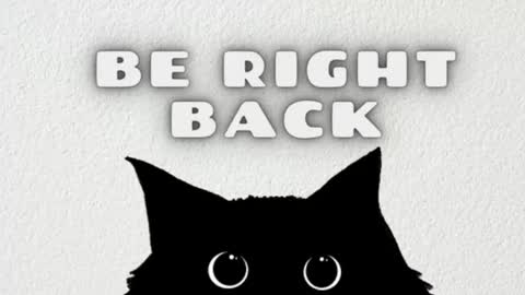 Snapshot of ambarsantany chatting on 03.06.25 AmbarSantany online show from 03.06.25