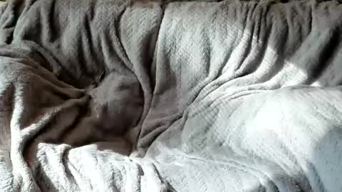 Snapshot of american_horny chatting on 10.24.25 Olive Walter online show from 10.24.25