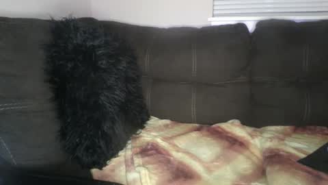 amiri_sweater online show from 02.25.25