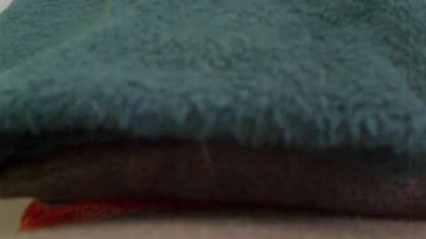 Snapshot of anaiserebel chatting on 01.04.25 anaiserebel online show from 01.04.25