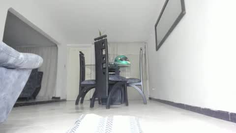Snapshot of andresgiraldo1 chatting on 01.31.25 Isa --------- online show from 01.31.25