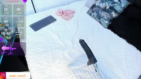 Snapshot of angiee_roses chatting on 12.14.24 angiee roses online show from 12.14.24