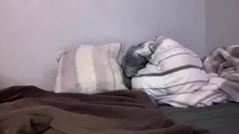 Animeboygirls online show from 01.10.25