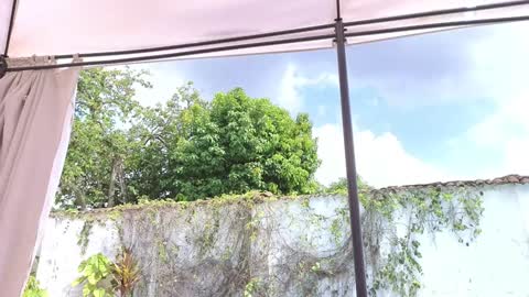 Anna online show from 12.07.24