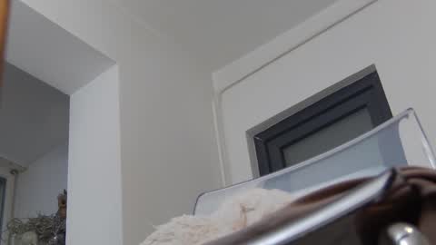 Snapshot of annyarose chatting on 12.02.24 Anna online show from 12.02.24