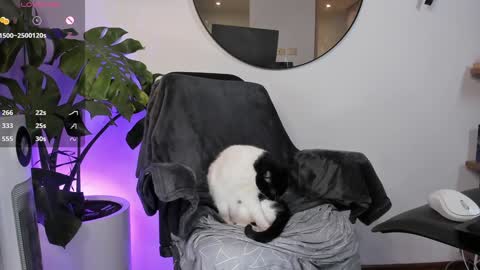 DaniAri - dimension X at night NY time online show from 01.28.25