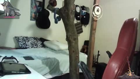 Snapshot of artorias_4 chatting on 01.28.25 artorias 4 online show from 01.28.25