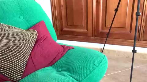 Snapshot of aurerex chatting on 11.07.25 aurerex online show from 11.07.25