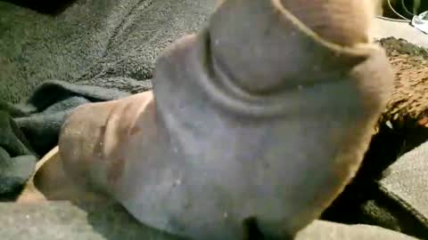 Axelle online show from 11.07.25