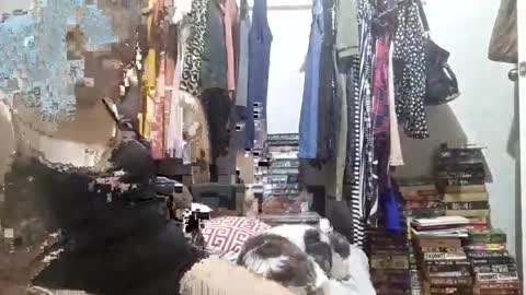 Snapshot of babe4u1234 chatting on 12.03.24 babe4u1234 online show from 12.03.24