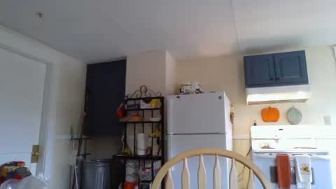 Snapshot of babiifern chatting on 10.14.25 Fern Browning online show from 10.14.25