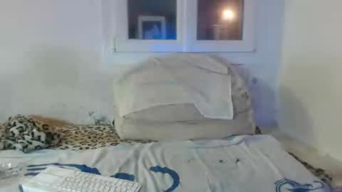 Snapshot of bambino6060 chatting on 12.02.24 bambino6060 online show from 12.02.24