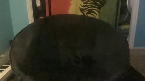 Snapshot of bananaboy420720 chatting on 09.16.25 bananaboy420720 online show from 09.16.25