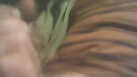 Snapshot of bandapart chatting on 09.08.25 bandapart online show from 09.08.25