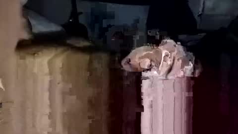 bigdickdaddy7201979564868 online show from 11.23.25