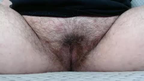 Snapshot of bighairyabby chatting on 11.08.25 Abby online show from 11.08.25