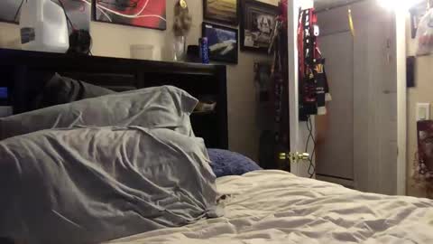 Snapshot of bobs520 chatting on 01.08.25 Bobby520 online show from 01.08.25