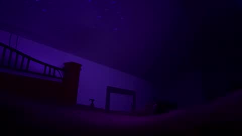 bodiddly64 online show from 10.12.25