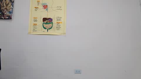 Snapshot of boner_steve chatting on 09.14.25 Boner Steve online show from 09.14.25