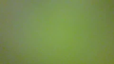 Snapshot of bonniediamond chatting on 10.30.25 bonniediamond online show from 10.30.25