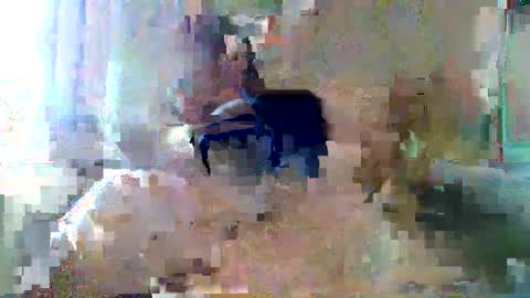 Snapshot of bpbww chatting on 09.19.25 bpbww online show from 09.19.25