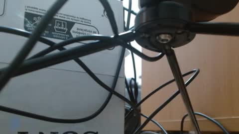 Snapshot of brigittebia777 chatting on 10.10.25 brigittebia777 online show from 10.10.25