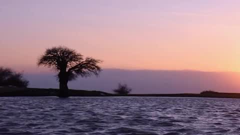 rskbing  online show from 12.04.25