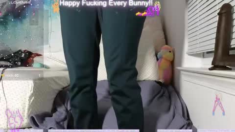 Snapshot of bunnycheekz chatting on 12.12.24 Tokki  bunny  online show from 12.12.24