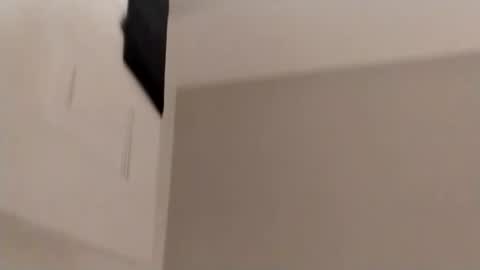 Snapshot of bunnyxpurry chatting on 11.15.25 BunnyXPurry online show from 11.15.25