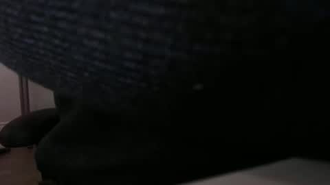 bushhouse21 online show from 11.23.25