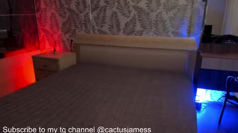 Snapshot of cactusjames_69 chatting on 10.23.25 James online show from 10.23.25