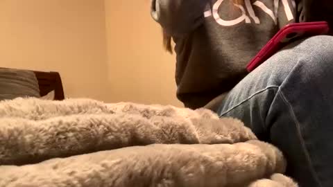 Snapshot of calishop1 chatting on 12.11.24 calishop1 online show from 12.11.24