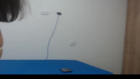 Snapshot of camila_rouswhyth chatting on 11.04.25 camila_rouswhyth online show from 11.04.25