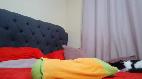 Snapshot of camilabrown23 chatting on 02.09.25 Camila Browm online show from 02.09.25