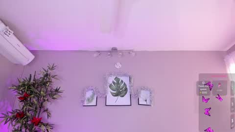 Isabella online show from 12.02.24