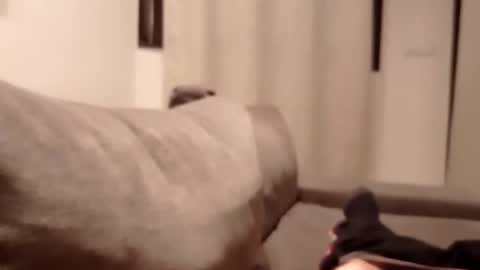 Snapshot of carlitito1 chatting on 10.30.25 carlitito1 online show from 10.30.25